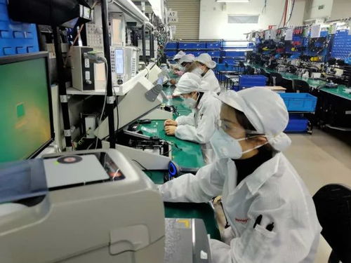 數(shù)據(jù)驅動復蘇 2月失業(yè)率回落至6.2% 全面復工與數(shù)據(jù)處理服務助力勞動力市場回暖